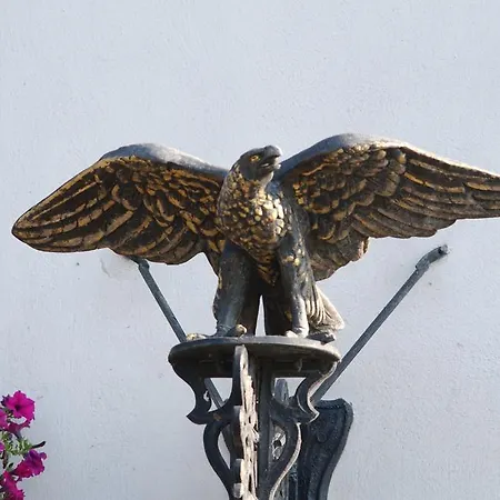 Отель Adler Golf-& Tagungshotel