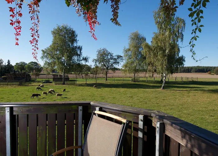 Adler Golf-& Tagungshotel Hotell 3*