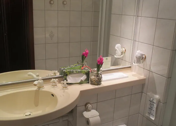 Отель Adler Golf-& Tagungshotel 3*