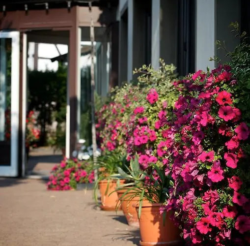 Adler Golf-& Tagungshotel 3*